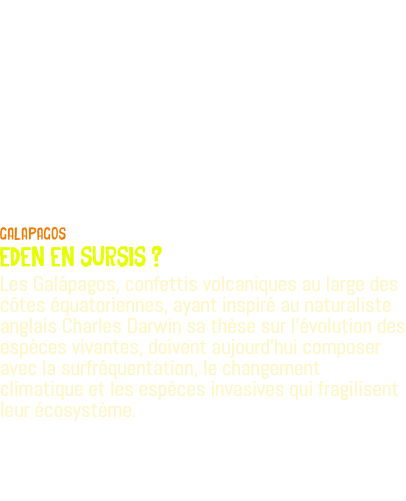  GALaPAGOS EDEN EN SURSIS ? Les Galápagos, confettis volcaniques au large des côtes équatoriennes, ayant inspiré au naturaliste anglais Charles Darwin sa thèse sur l'évolution des espèces vivantes, doivent aujourd’hui composer avec la surfréquentation, le changement climatique et les espèces invasives qui fragilisent leur écosystème.