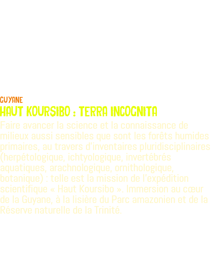  Guyane HAUT KOURSIBO : TERRA INCOGNITA Faire avancer la science et la connaissance de milieux aussi sensibles que sont les forêts humides primaires, au travers d'inventaires pluridisciplinaires (herpétologique, ichtyologique, invertébrés aquatiques, arachnologique, ornithologique, botanique) : telle est la mission de l'expédition scientifique « Haut Koursibo ». Immersion au cœur de la Guyane, à la lisière du Parc amazonien et de la Réserve naturelle de la Trinité. 