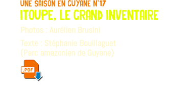 une saison en guyane n°17 itoupe, le grand inventaire Photos : Aurélien Brusini Texte : Stéphanie Bouillaguet (Parc amazonien de Guyane) ﷯