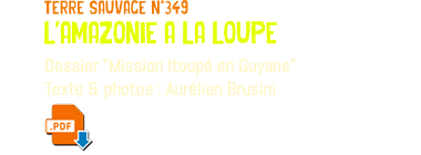 terre sauvage n°349 l'amazonie a la loupe Dossier "Mission Itoupé en Guyane" Texte & photos : Aurélien Brusini ﷯