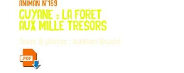 animan n°189 guyane : la foret aux mille tresors Texte & photos : Aurélien Brusini ﷯