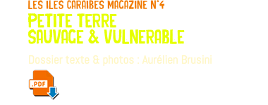 les iles caraibes magazine n°4 petite terre sauvage & vulnerable Dossier texte & photos : Aurélien Brusini ﷯