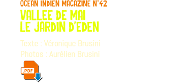 ocean indien magazine n°42 vallee de mai le jardin d'eden Texte : Véronique Brusini Photos : Aurélien Brusini ﷯