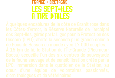 ﷯FRANCE • BRETAGNE Les Sept-Iles a tire d'ailes À quelques encablures de la côte de Granit rose dans les Côtes-d'Armor, la Réserve Naturelle de l’archipel des Sept-Iles, gérée par la Ligue pour la Protection des Oiseaux (LPO), abrite la seconde plus grande colonie de Fous de Bassan au monde avec 17 000 couples. À 15 km de là, la Station de l’Île-Grande (Pleumeur-Bodou) accueille l’un des six centres de sauvegarde de la faune sauvage et de sensibilisation créés par la LPO. Immersion dans le quotidien de la Station, au cœur d'une équipe de volontaires passionnés, d'ornithologues et de vétérinaires.