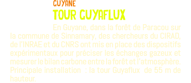 ﷯guyane tour guyaflux En Guyane, dans la forêt de Paracou sur la commune de Sinnamary, des chercheurs du CIRAD, de l’INRAE et du CNRS ont mis en place des dispositifs expérimentaux pour préciser les échanges gazeux et mesurer le bilan carbone entre la forêt et l’atmosphère. Principale installation : la tour Guyaflux de 55 m de hauteur.