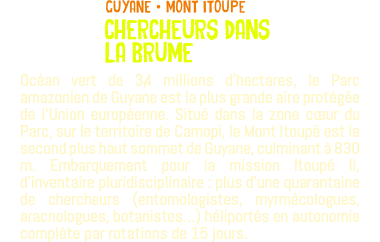 ﷯guyane • MONT ITOUPE CHERCHEURS DANS LA BRUME Océan vert de 3,4 millions d'hectares, le Parc amazonien de Guyane est la plus grande aire protégée de l’Union européenne. Situé dans la zone cœur du Parc, sur le territoire de Camopi, le Mont Itoupé est le second plus haut sommet de Guyane, culminant à 830 m. Embarquement pour la mission Itoupé II, d'inventaire pluridisciplinaire : plus d'une quarantaine de chercheurs (entomologistes, myrmécologues, aracnologues, botanistes…) héliportés en autonomie complète par rotations de 15 jours.