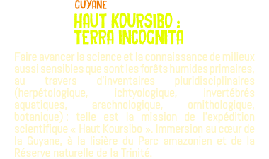 ﷯Guyane HAUT KOURSIBO : TERRA INCOGNITA Faire avancer la science et la connaissance de milieux aussi sensibles que sont les forêts humides primaires, au travers d'inventaires pluridisciplinaires (herpétologique, ichtyologique, invertébrés aquatiques, arachnologique, ornithologique, botanique) : telle est la mission de l'expédition scientifique « Haut Koursibo ». Immersion au cœur de la Guyane, à la lisière du Parc amazonien et de la Réserve naturelle de la Trinité. 