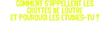 Comment s'appellent les crottes de loutre et pourquoi les etudies-tu ? 