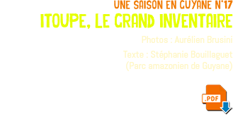 une saison en guyane n°17 itoupe, le grand inventaire Photos : Aurélien Brusini Texte : Stéphanie Bouillaguet (Parc amazonien de Guyane) ﷯