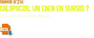 animan n°216 Galapagos, un eden en sursis ? Texte & photos : Aurélien Brusini ﷯