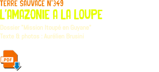 terre sauvage n°349 l'amazonie a la loupe Dossier "Mission Itoupé en Guyane" Texte & photos : Aurélien Brusini ﷯