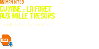 animan n°189 guyane : la foret aux mille tresors Texte & photos : Aurélien Brusini ﷯