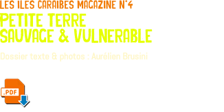 les iles caraibes magazine n°4 petite terre sauvage & vulnerable Dossier texte & photos : Aurélien Brusini ﷯