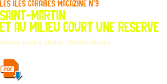 les iles caraibes magazine n°9 saint-martin et au milieu court une reserve Dossier texte & photos : Aurélien Brusini ﷯