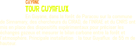 ﷯guyane tour guyaflux En Guyane, dans la forêt de Paracou sur la commune de Sinnamary, des chercheurs du CIRAD, de l’INRAE et du CNRS ont mis en place des dispositifs expérimentaux pour préciser les échanges gazeux et mesurer le bilan carbone entre la forêt et l’atmosphère. Principale installation : la tour Guyaflux de 55 m de hauteur.