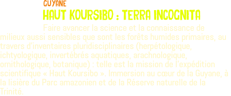 ﷯Guyane HAUT KOURSIBO : TERRA INCOGNITA Faire avancer la science et la connaissance de milieux aussi sensibles que sont les forêts humides primaires, au travers d'inventaires pluridisciplinaires (herpétologique, ichtyologique, invertébrés aquatiques, arachnologique, ornithologique, botanique) : telle est la mission de l'expédition scientifique « Haut Koursibo ». Immersion au cœur de la Guyane, à la lisière du Parc amazonien et de la Réserve naturelle de la Trinité. 