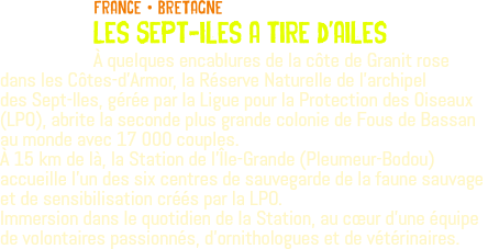 ﷯FRANCE • BRETAGNE Les Sept-Iles a tire d'ailes À quelques encablures de la côte de Granit rose dans les Côtes-d'Armor, la Réserve Naturelle de l’archipel des Sept-Iles, gérée par la Ligue pour la Protection des Oiseaux (LPO), abrite la seconde plus grande colonie de Fous de Bassan au monde avec 17 000 couples. À 15 km de là, la Station de l’Île-Grande (Pleumeur-Bodou) accueille l’un des six centres de sauvegarde de la faune sauvage et de sensibilisation créés par la LPO. Immersion dans le quotidien de la Station, au cœur d'une équipe de volontaires passionnés, d'ornithologues et de vétérinaires.