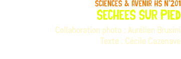 sciences & avenir hs n°201 sechees sur pied Collaboration photo : Aurélien Brusini Texte : Cécile Cazenave 