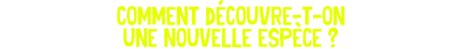 comment découvre-t-on une nouvelle espèce ?