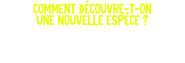 comment découvre-t-on une nouvelle espèce ? 