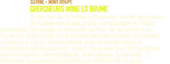 ﷯guyane • MONT ITOUPE CHERCHEURS DANS LA BRUME Océan vert de 3,4 millions d'hectares, le Parc amazonien de Guyane est la plus grande aire protégée de l’Union européenne. Situé dans la zone cœur du Parc, sur le territoire de Camopi, le Mont Itoupé est le second plus haut sommet de Guyane, culminant à 830 m. Embarquement pour la mission Itoupé II, d'inventaire pluridisciplinaire : plus d'une quarantaine de chercheurs (entomologistes, myrmécologues, aracnologues, botanistes…) héliportés en autonomie complète par rotations de 15 jours.