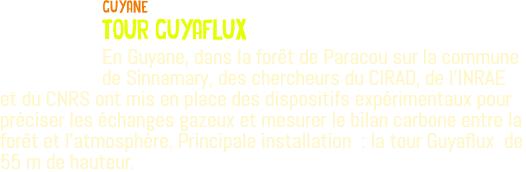 ﷯guyane tour guyaflux En Guyane, dans la forêt de Paracou sur la commune de Sinnamary, des chercheurs du CIRAD, de l’INRAE et du CNRS ont mis en place des dispositifs expérimentaux pour préciser les échanges gazeux et mesurer le bilan carbone entre la forêt et l’atmosphère. Principale installation : la tour Guyaflux de 55 m de hauteur.