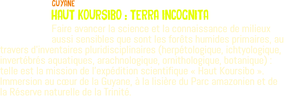 ﷯Guyane HAUT KOURSIBO : TERRA INCOGNITA Faire avancer la science et la connaissance de milieux aussi sensibles que sont les forêts humides primaires, au travers d'inventaires pluridisciplinaires (herpétologique, ichtyologique, invertébrés aquatiques, arachnologique, ornithologique, botanique) : telle est la mission de l'expédition scientifique « Haut Koursibo ». Immersion au cœur de la Guyane, à la lisière du Parc amazonien et de la Réserve naturelle de la Trinité. 