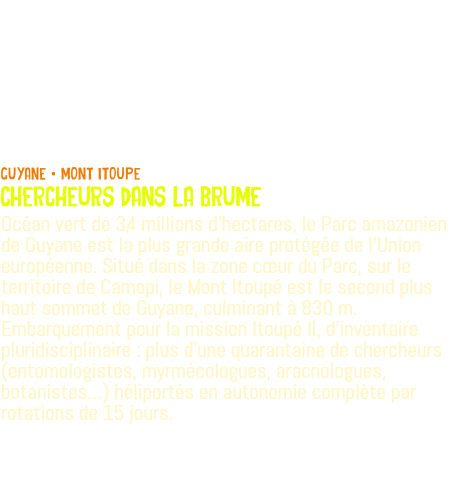  guyane • MONT ITOUPE CHERCHEURS DANS LA BRUME Océan vert de 3,4 millions d'hectares, le Parc amazonien de Guyane est la plus grande aire protégée de l’Union européenne. Situé dans la zone cœur du Parc, sur le territoire de Camopi, le Mont Itoupé est le second plus haut sommet de Guyane, culminant à 830 m. Embarquement pour la mission Itoupé II, d'inventaire pluridisciplinaire : plus d'une quarantaine de chercheurs (entomologistes, myrmécologues, aracnologues, botanistes…) héliportés en autonomie complète par rotations de 15 jours.