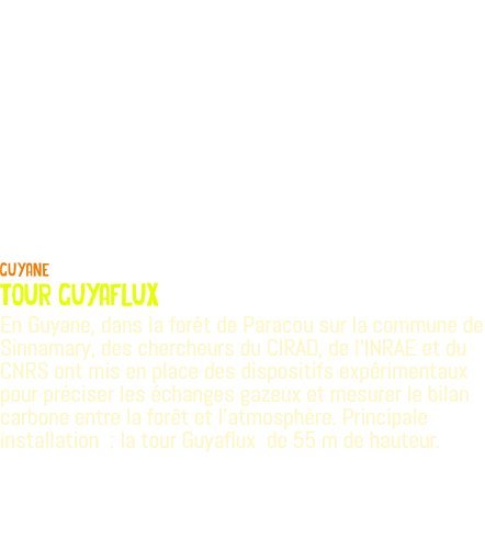  guyane tour guyaflux En Guyane, dans la forêt de Paracou sur la commune de Sinnamary, des chercheurs du CIRAD, de l’INRAE et du CNRS ont mis en place des dispositifs expérimentaux pour préciser les échanges gazeux et mesurer le bilan carbone entre la forêt et l’atmosphère. Principale installation : la tour Guyaflux de 55 m de hauteur.