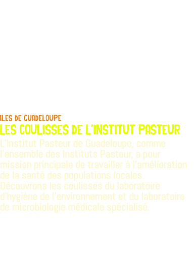  iles de guadeloupe les coulisses de l'institut pasteur L’Institut Pasteur de Guadeloupe, comme l’ensemble des Instituts Pasteur, a pour mission principale de travailler à l’amélioration de la santé des populations locales. Découvrons les coulisses du laboratoire d’hygiène de l’environnement et du laboratoire de microbiologie médicale spécialisé.